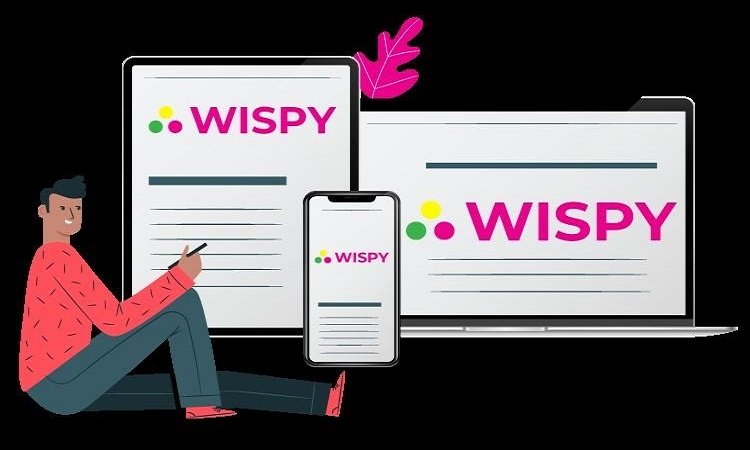 TheWiSpy App review