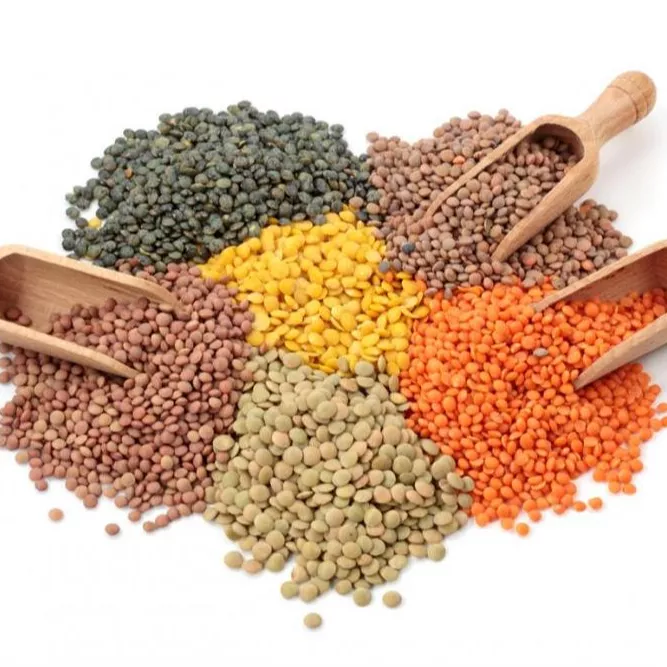 How Buying Lentils Seeds of All Colors in Bulk Can Help Your Business