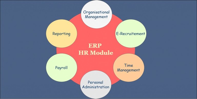 How Does HRMS Benefit An Organisation