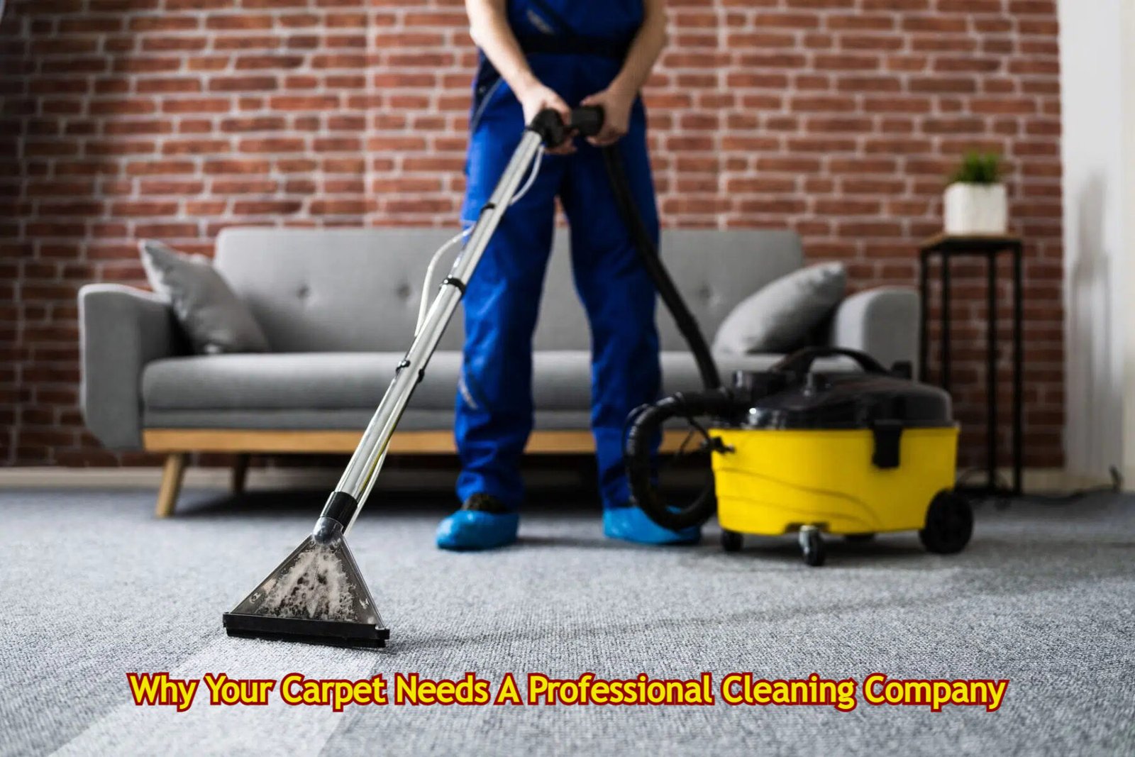 Why Your Carpet Needs A Professional Cleaning Company