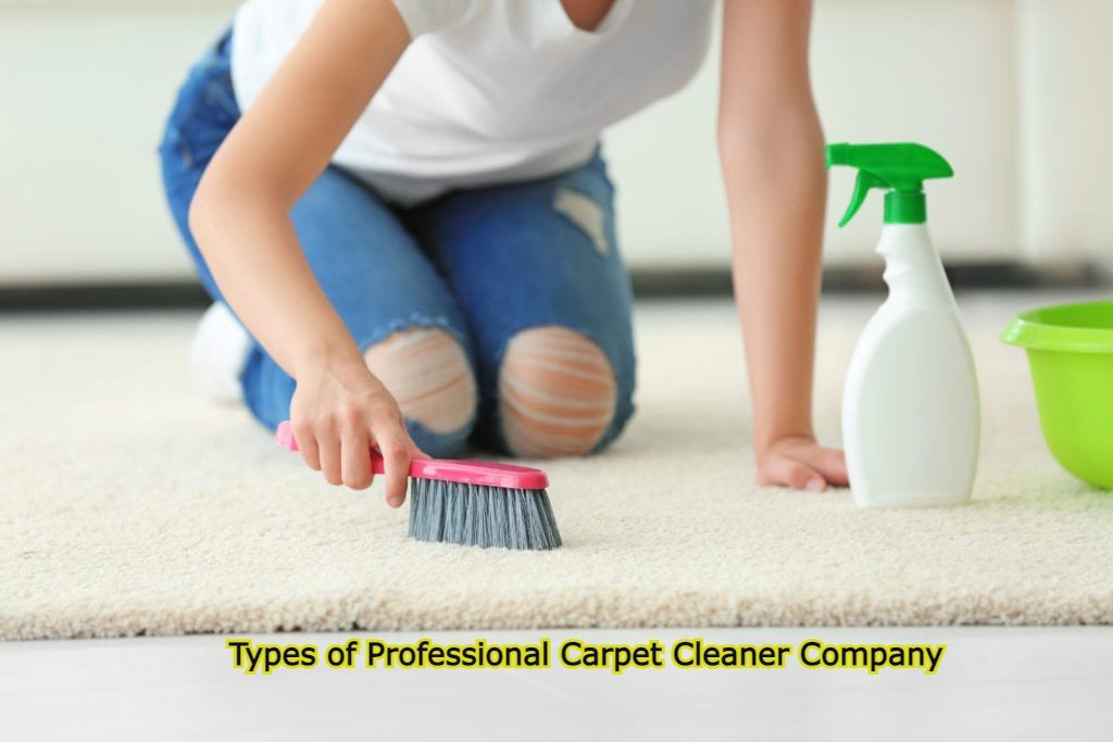Types of Professional Carpet Cleaner Company