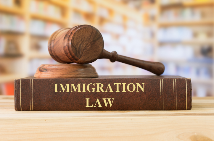 Australian Immigration Law