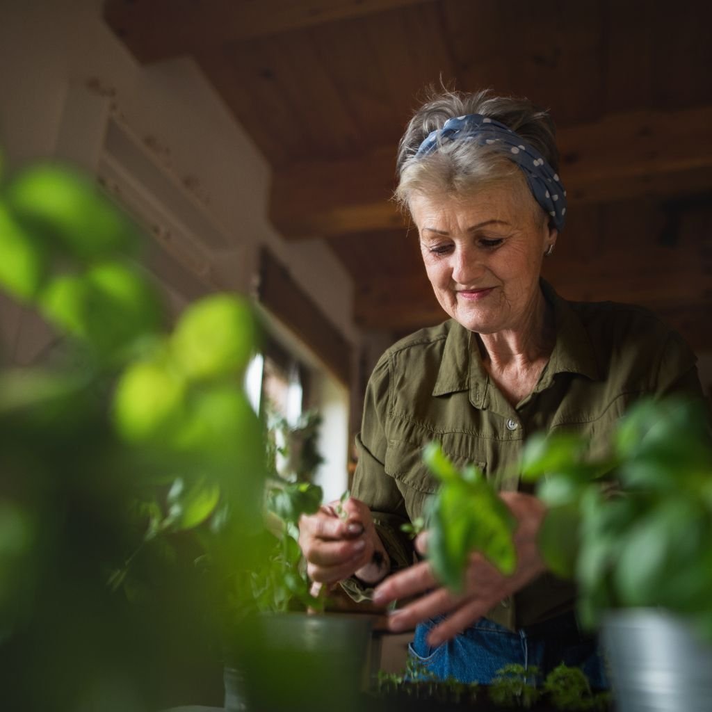 How to Grow Your Own Indoor Herb Garden: A Step-by-Step Guide