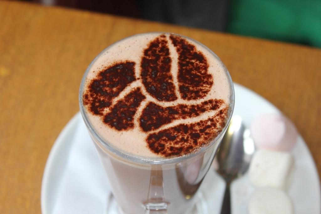 Finding the Best Hot Chocolate on a Rainy Afternoon: A Quest for Cozy Delights