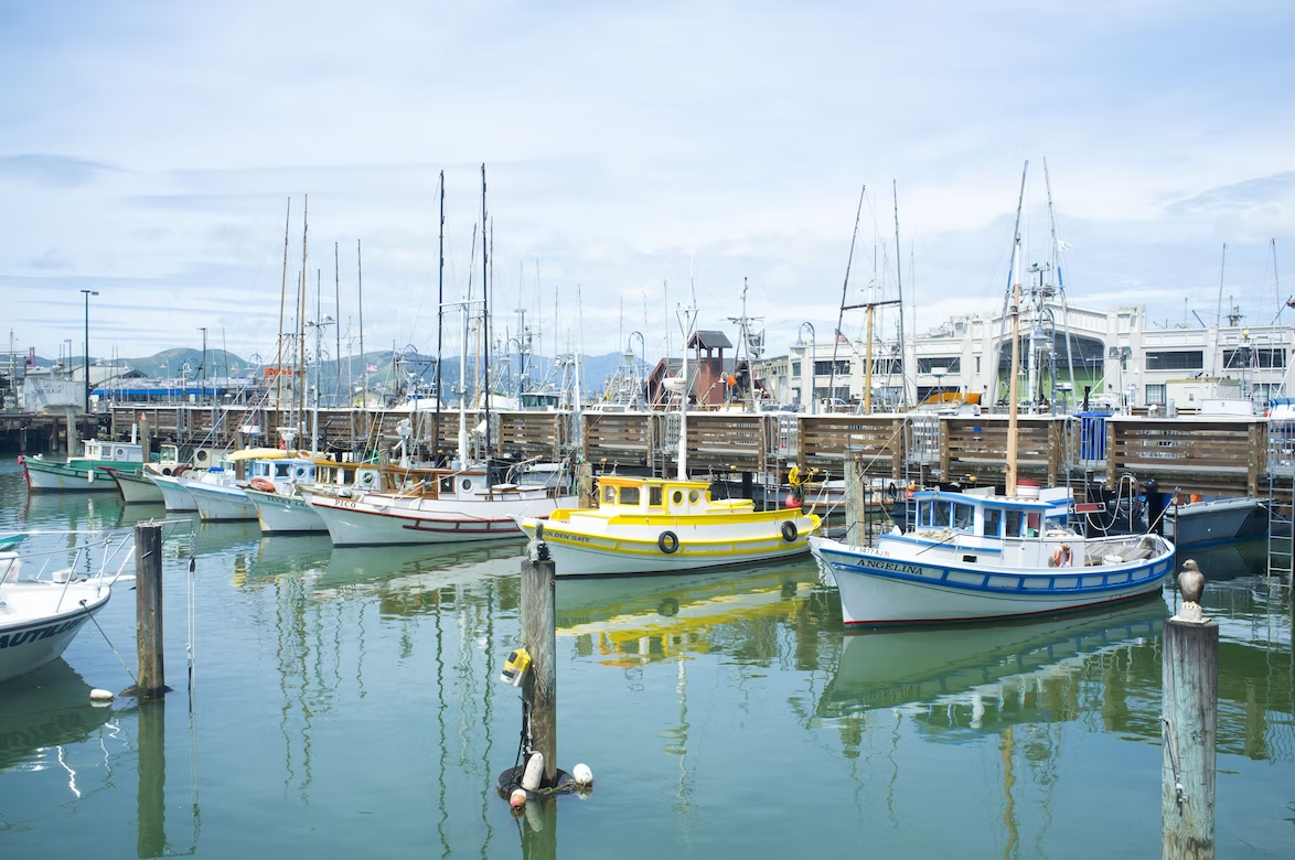 Elevate Your Boating Experience: Installing Boat Lifts or Hoists on Dock Pilings