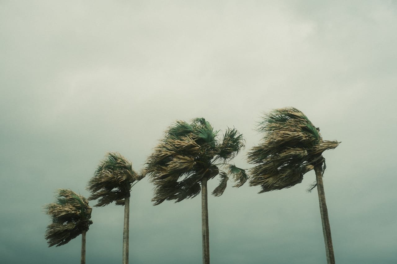 How to Safely and Successfully Weather the Storm
