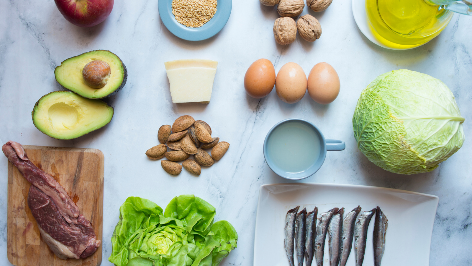 The Science Behind Your Pet’s Diet: What’s Best for Their Health?