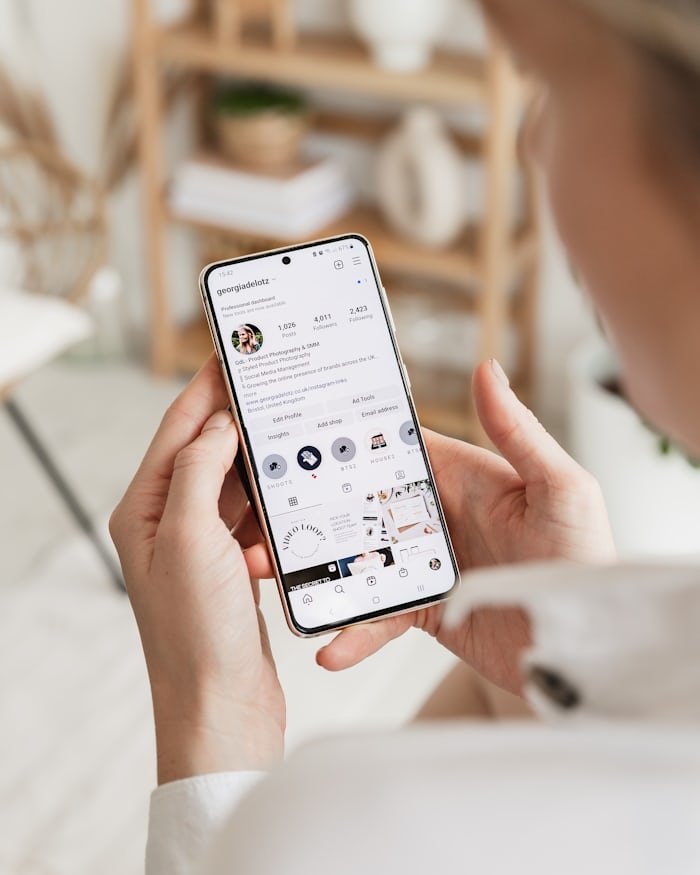 The Characteristic Features of InstaZoom Instagram Highlights Viewer 